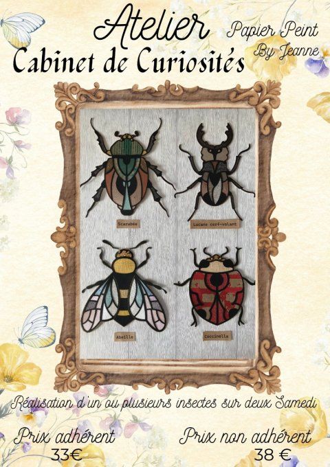 Atelier cabinet de Curiosité - Prix de réservation